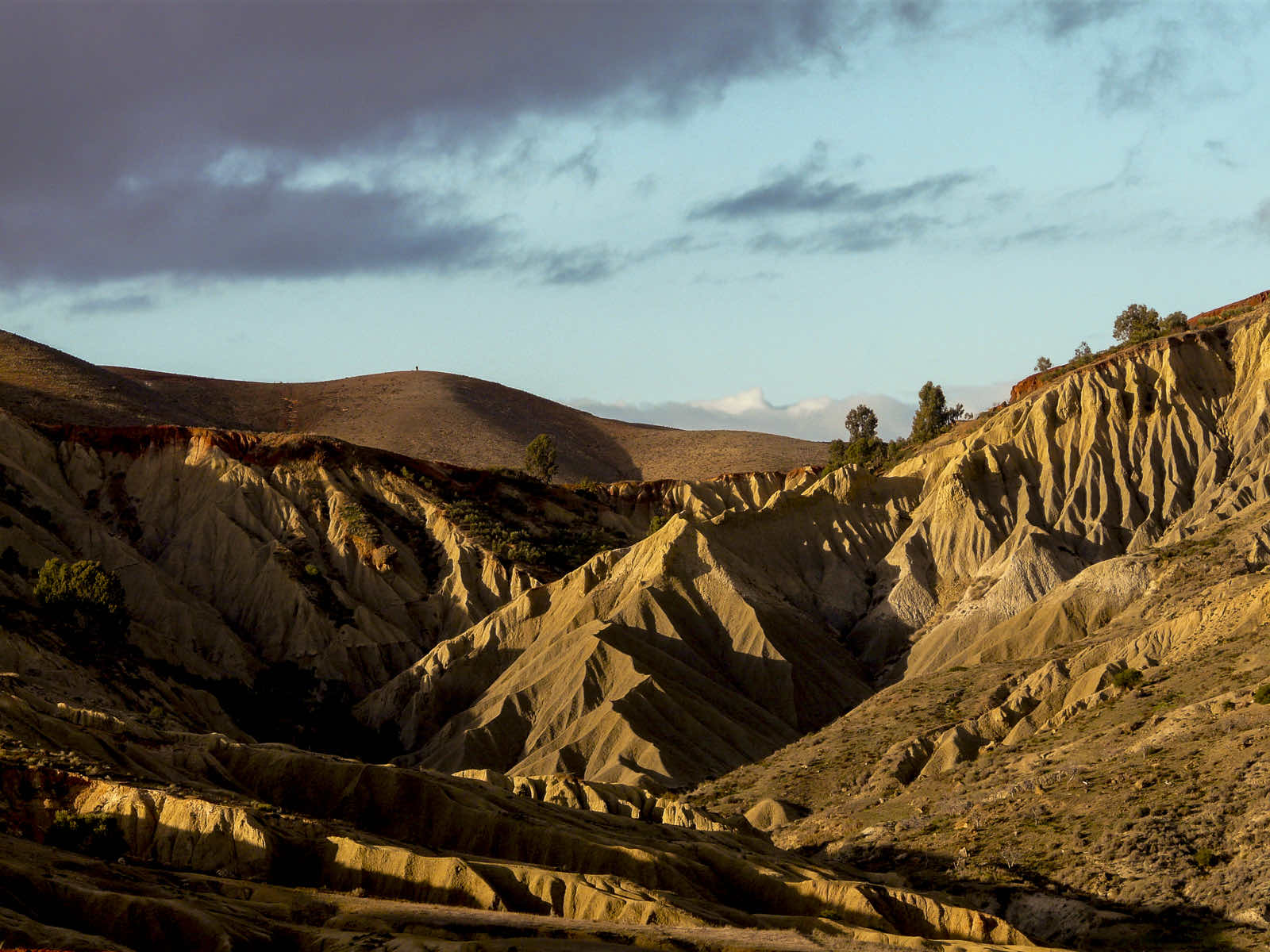 GEOMAGRED Image 6