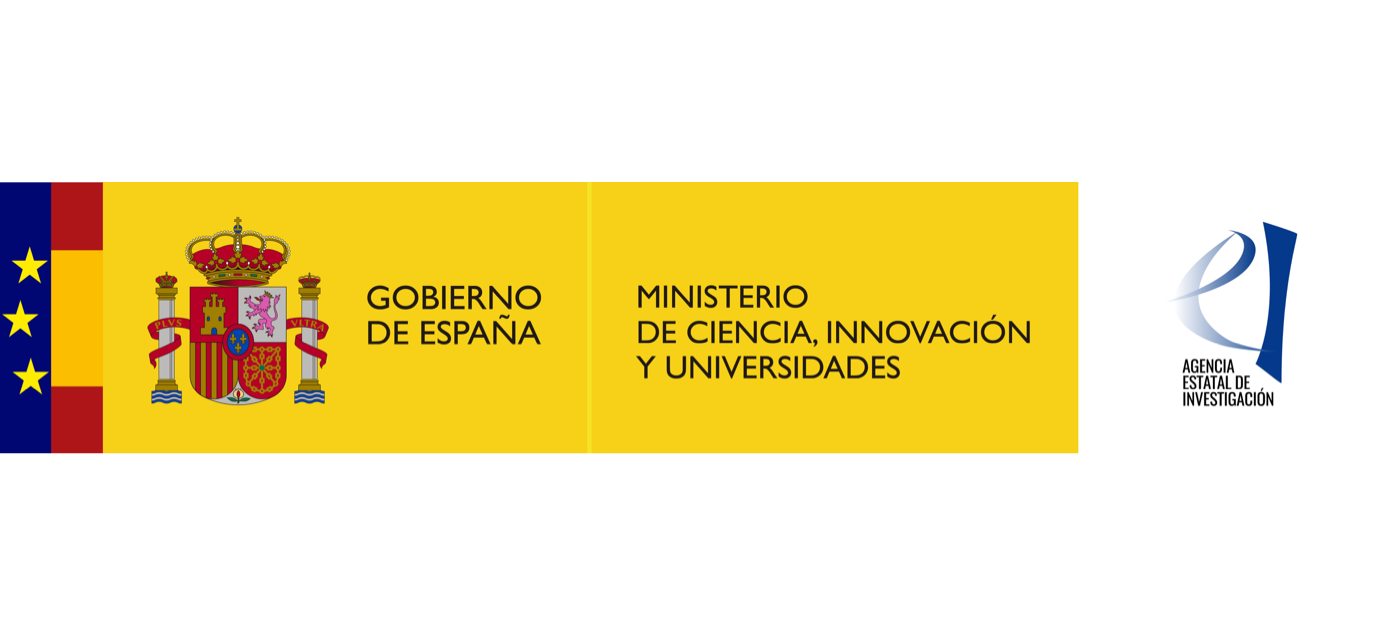 MICIN AEI